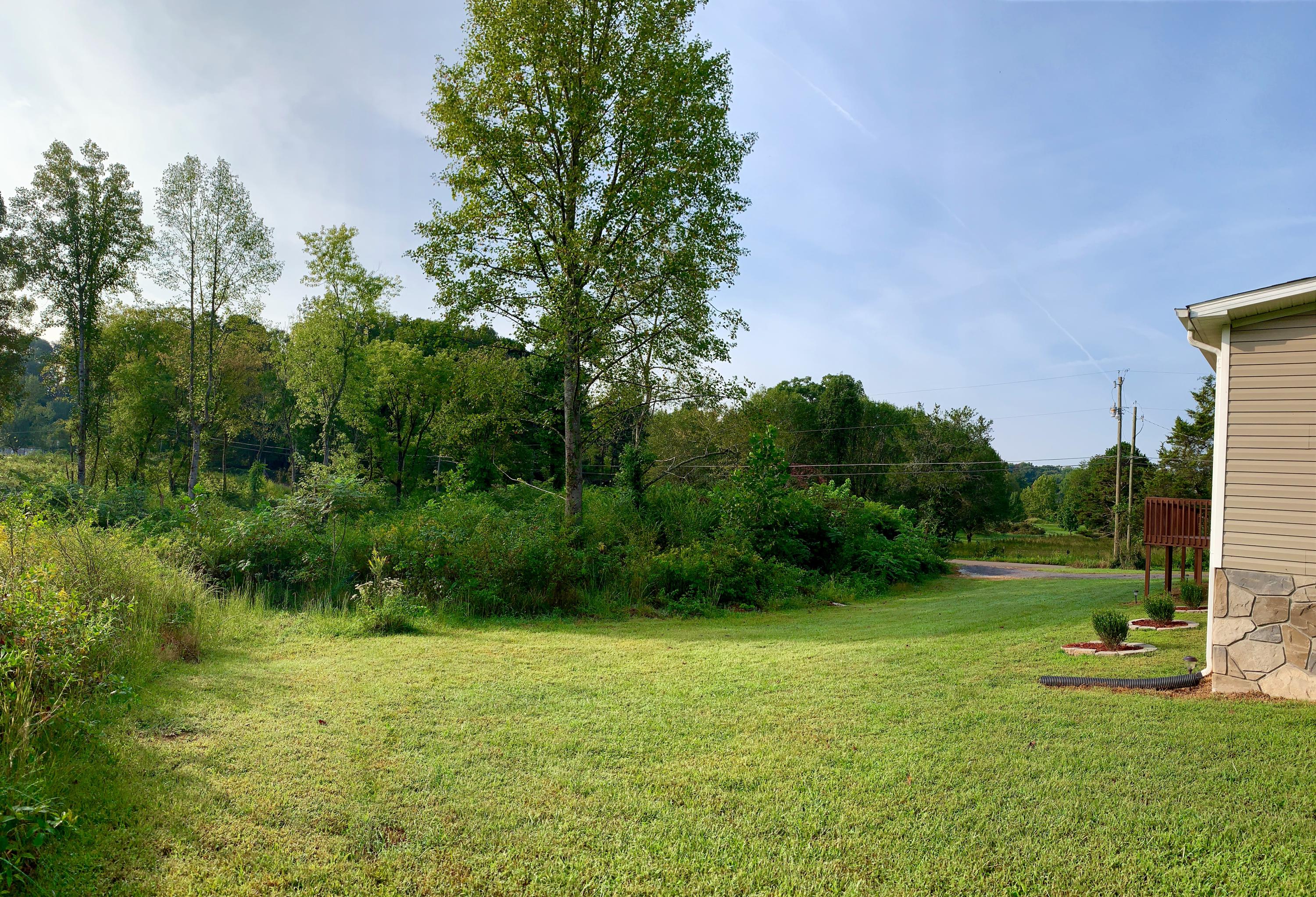 4732 Shipe Road Corryton, TN 37721 - Photo 7 of 23 IMG_5585