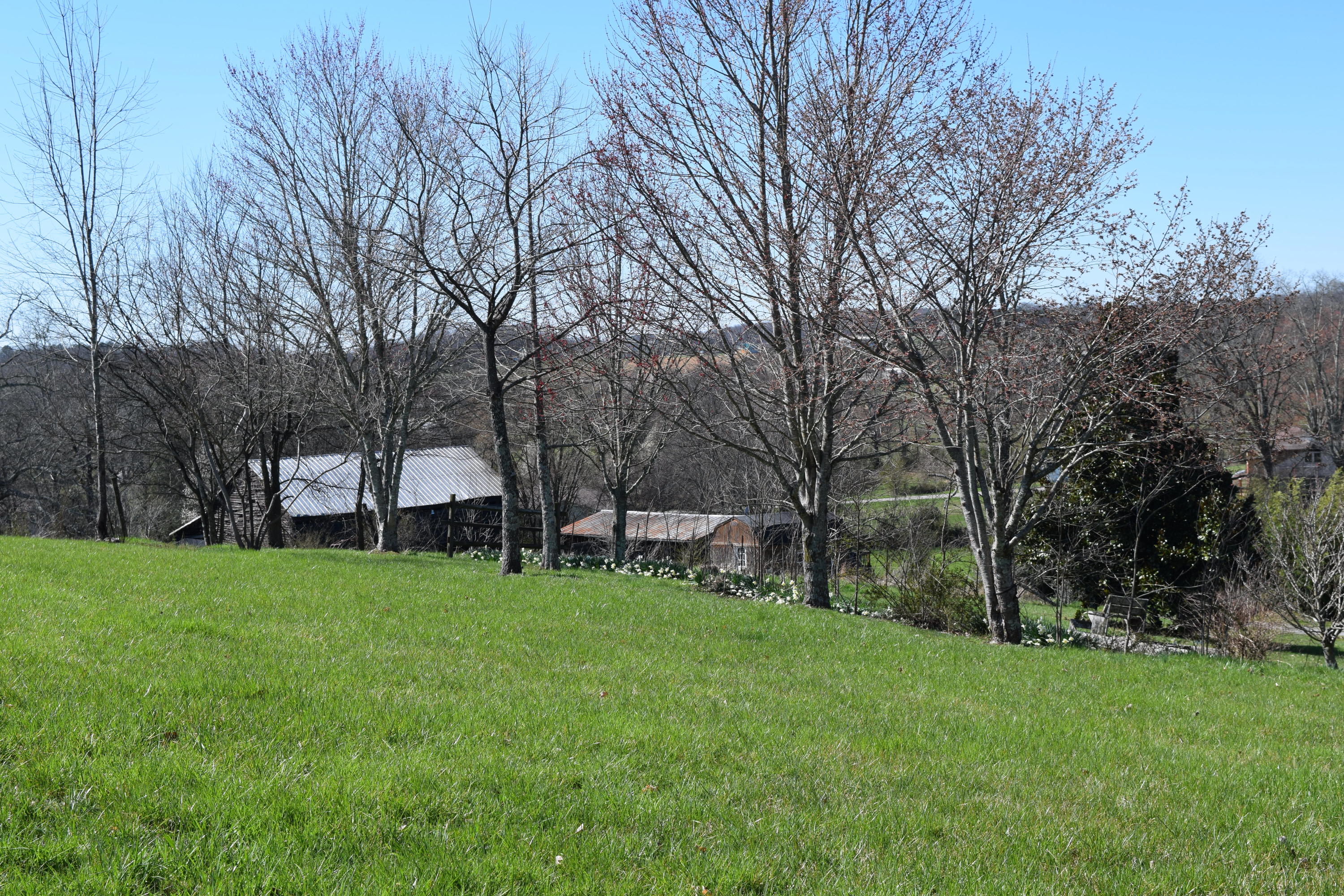 313 Prospect Road Walland, TN 37886 - Photo 14 of 36 DSC_0615