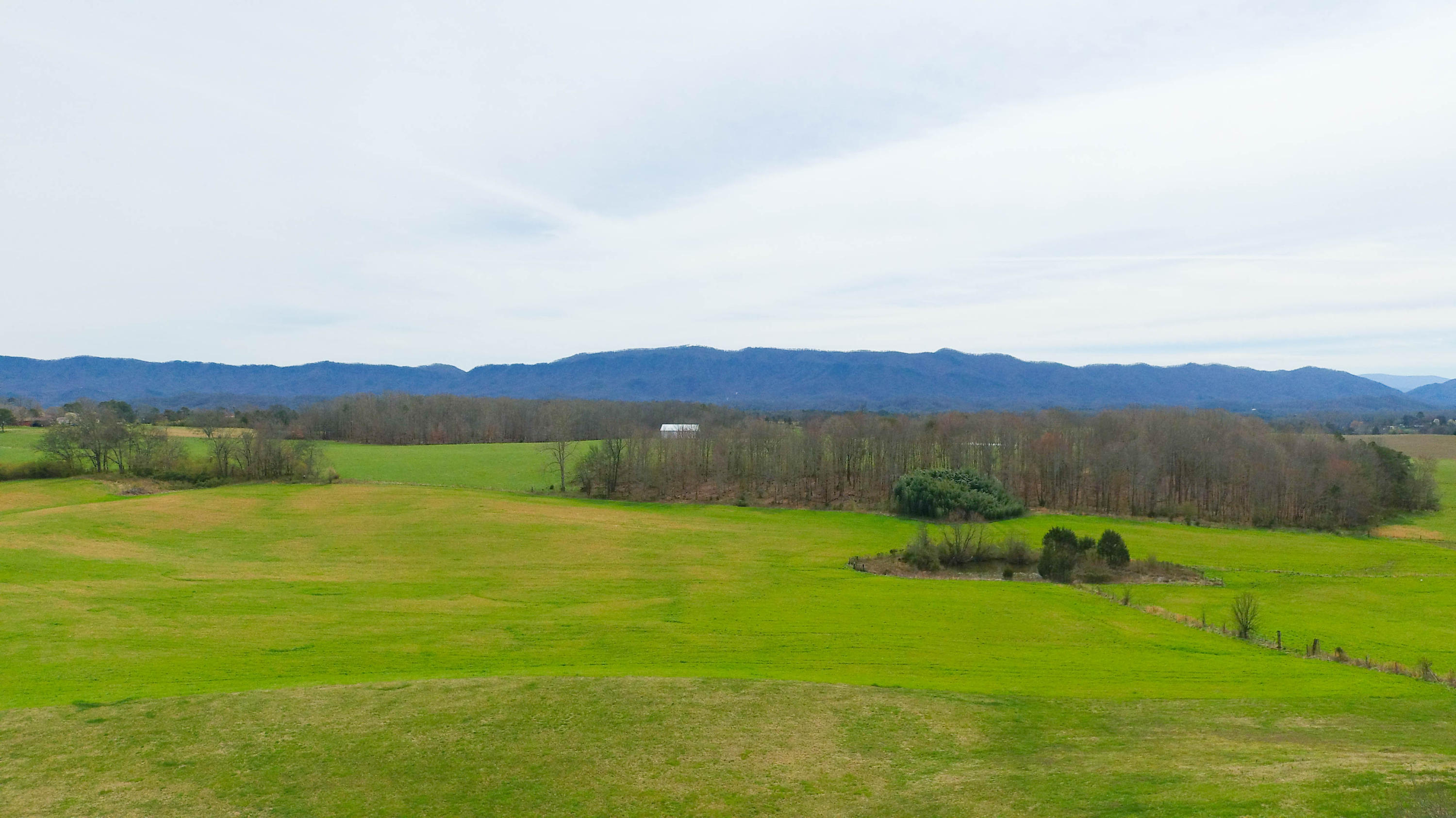 313 Prospect Road Walland, TN 37886 - Photo 8 of 36 Edit 2 (3 of 6)-2 (1)