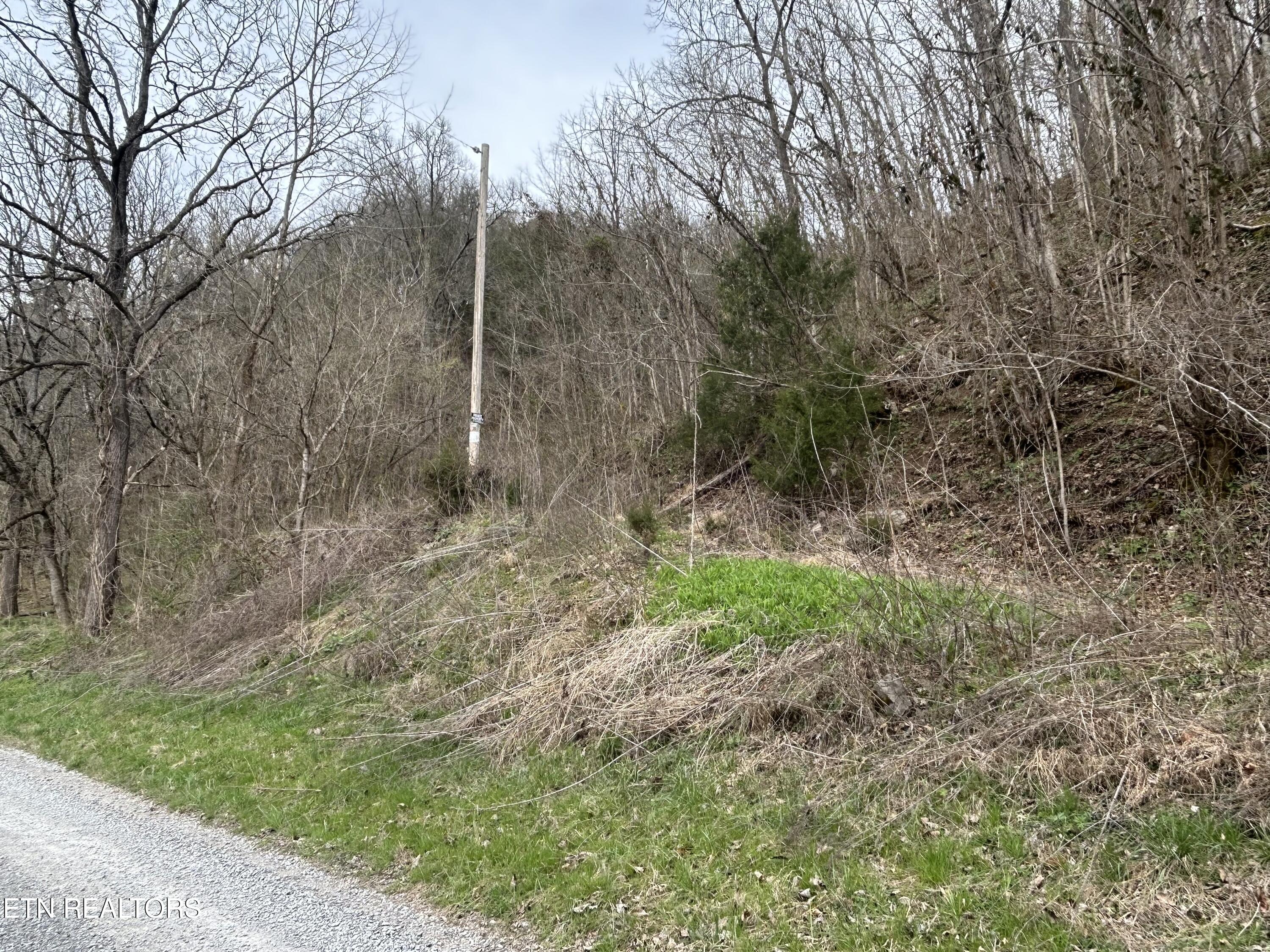 002.00 Tn 37869 Road, Unit 31 Sneedville, TN 37869 - Photo 3 of 9 IMG_5743
