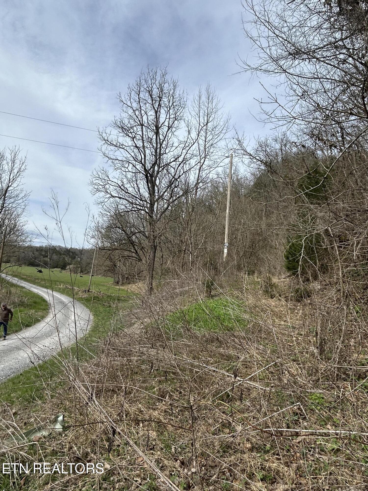 002.00 Tn 37869 Road, Unit 31 Sneedville, TN 37869 - Photo 4 of 9 IMG_5747