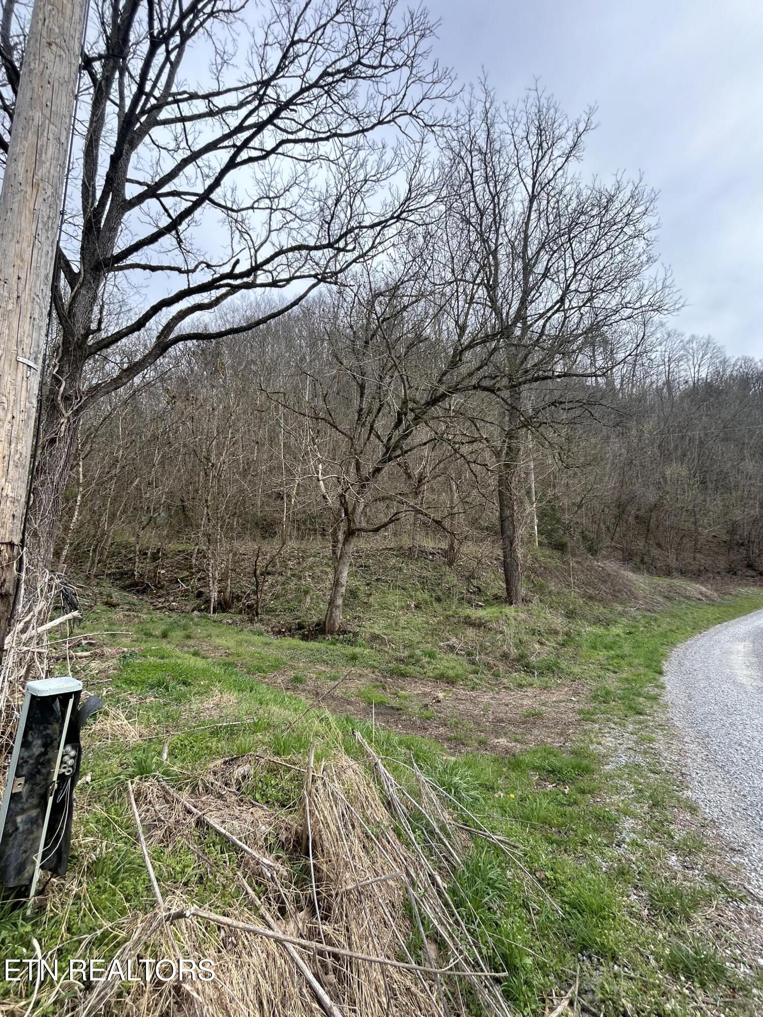 002.00 Tn 37869 Road, Unit 31 Sneedville, TN 37869 - Photo 6 of 9 IMG_5744