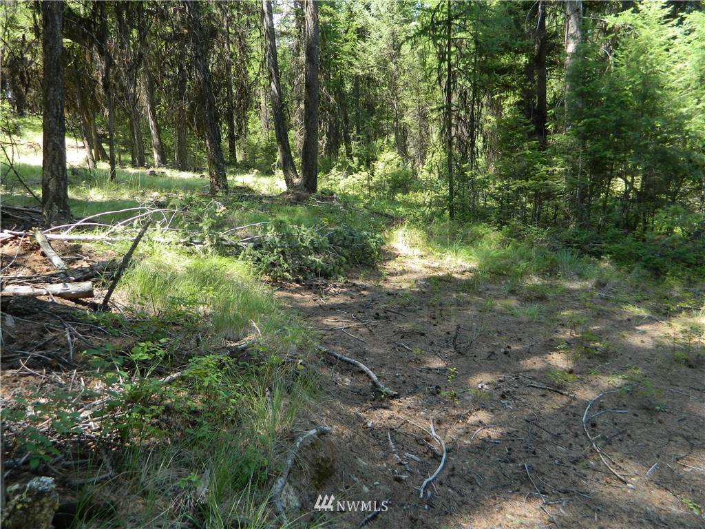 111 Rawhide Road Oroville, WA 98844 - Photo 2 of 12 Gallery Image 2