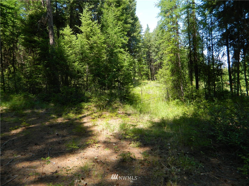 111 Rawhide Road Oroville, WA 98844 - Photo 11 of 12 Gallery Image 11