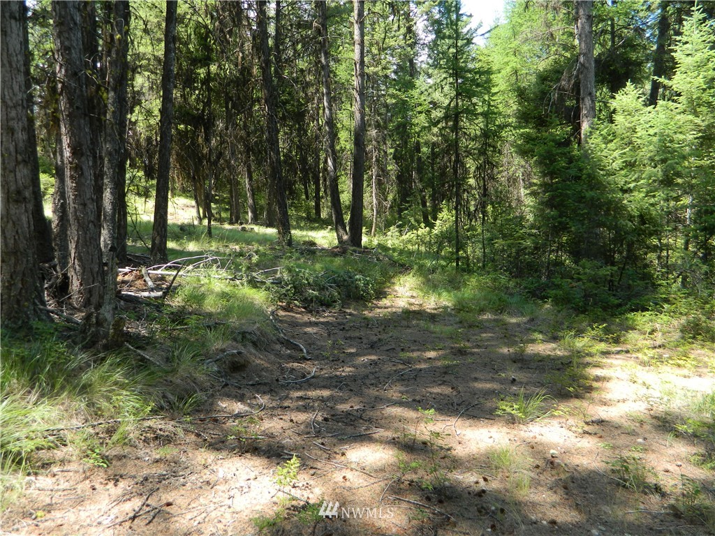 111 Rawhide Road Oroville, WA 98844 - Photo 3 of 12 Gallery Image 3