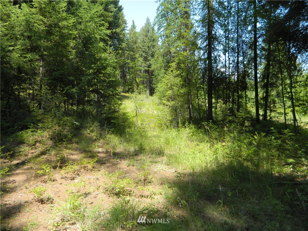 111 Rawhide Road Oroville, WA 98844 - Photo 4 of 12 Gallery Image 4