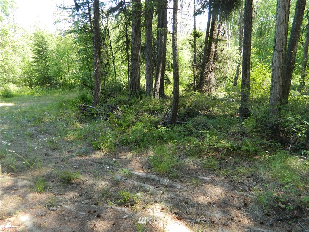 111 Rawhide Road Oroville, WA 98844 - Photo 7 of 12 Gallery Image 7