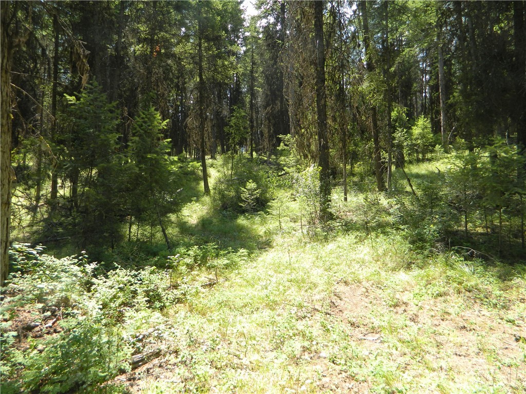 111 Rawhide Road Oroville, WA 98844 - Photo 10 of 12 Gallery Image 10