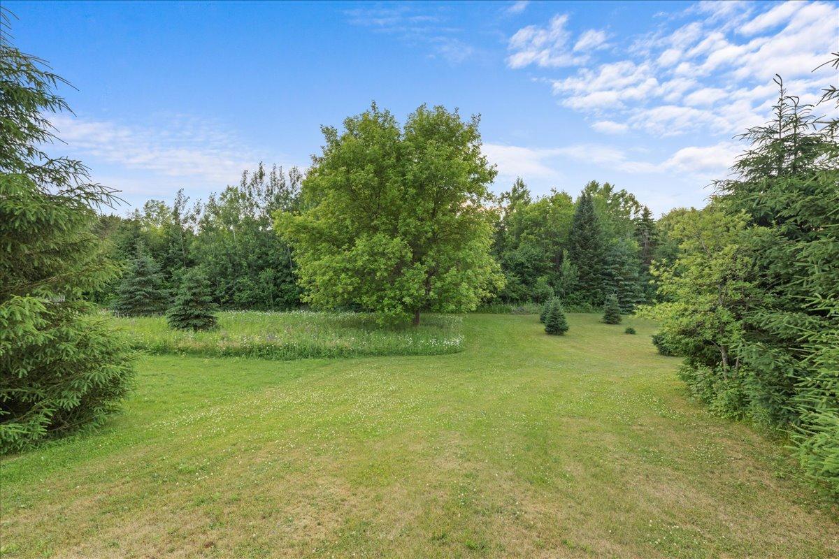 810 Antler Ridge Hudson, WI 54016 - Photo 57 of 63