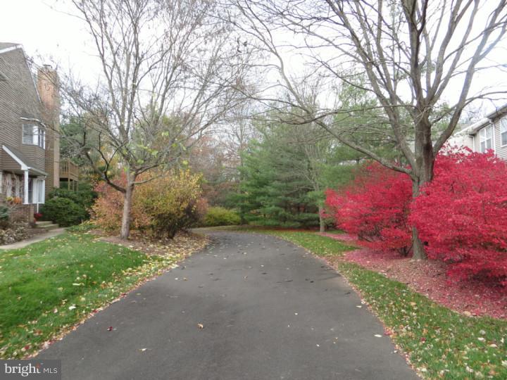 64 Charing Cross Road, Unit 31 Doylestown, PA 18901 - Photo 6 of 25 View in Back