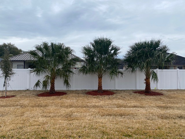 85236 Sandy Rdg Loop Yulee, FL 32097 - Photo 18 of 19 Backyard