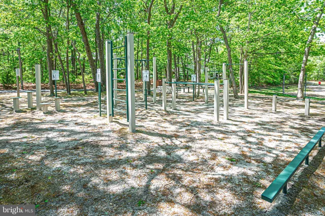 a view of a large yard with large tree
