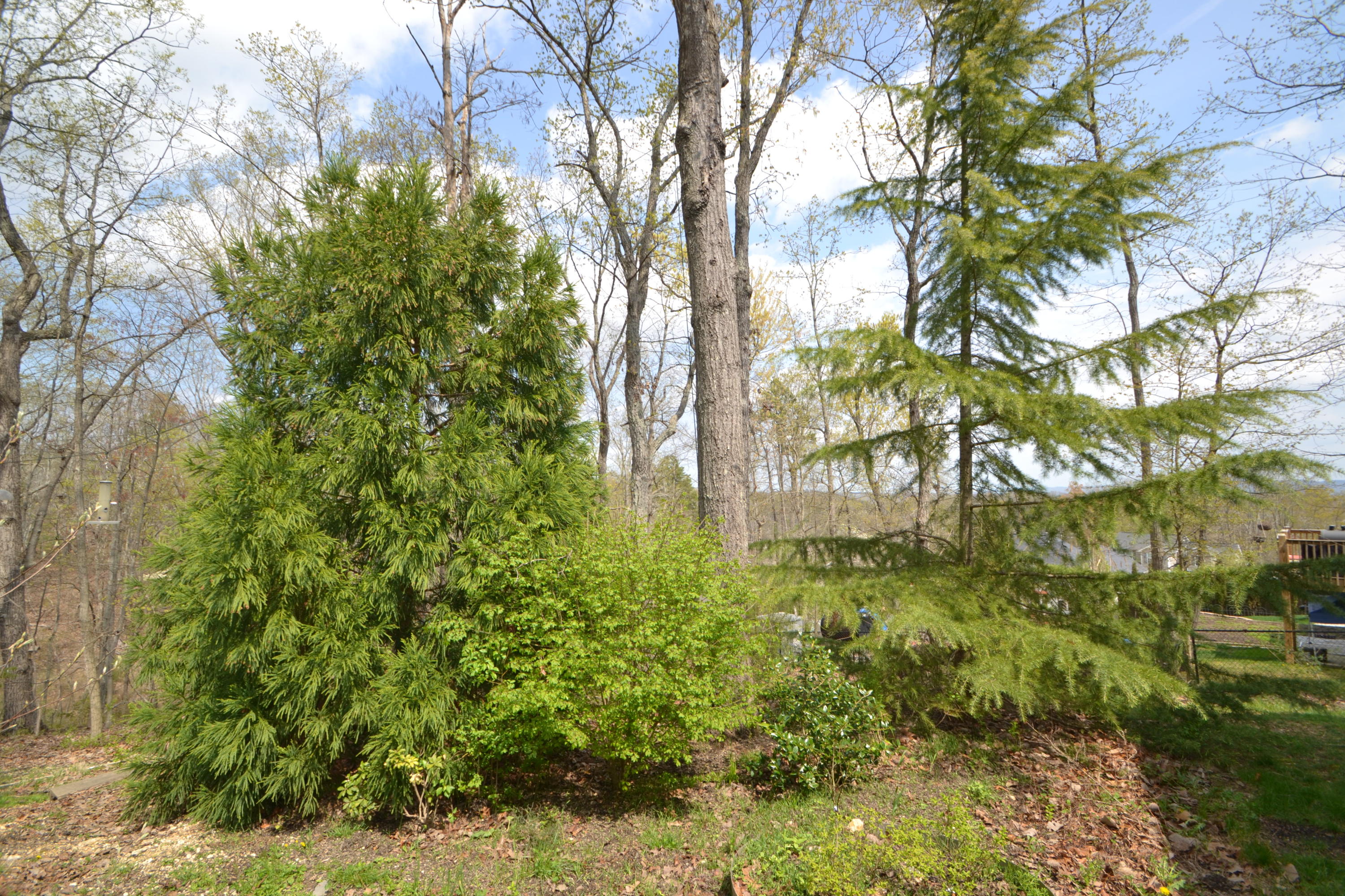 7363 British Road Ooltewah, TN 37363 - Photo 38 of 38 DSC_0739.JPG