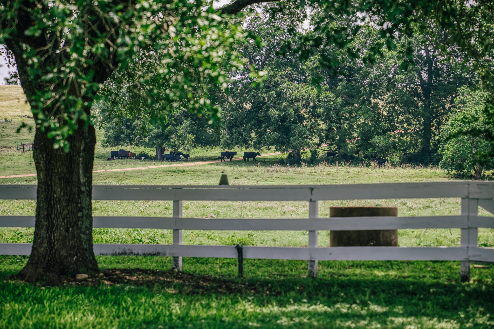 14808 Whitman Road Washington, TX 77880 - Photo 26 of 30