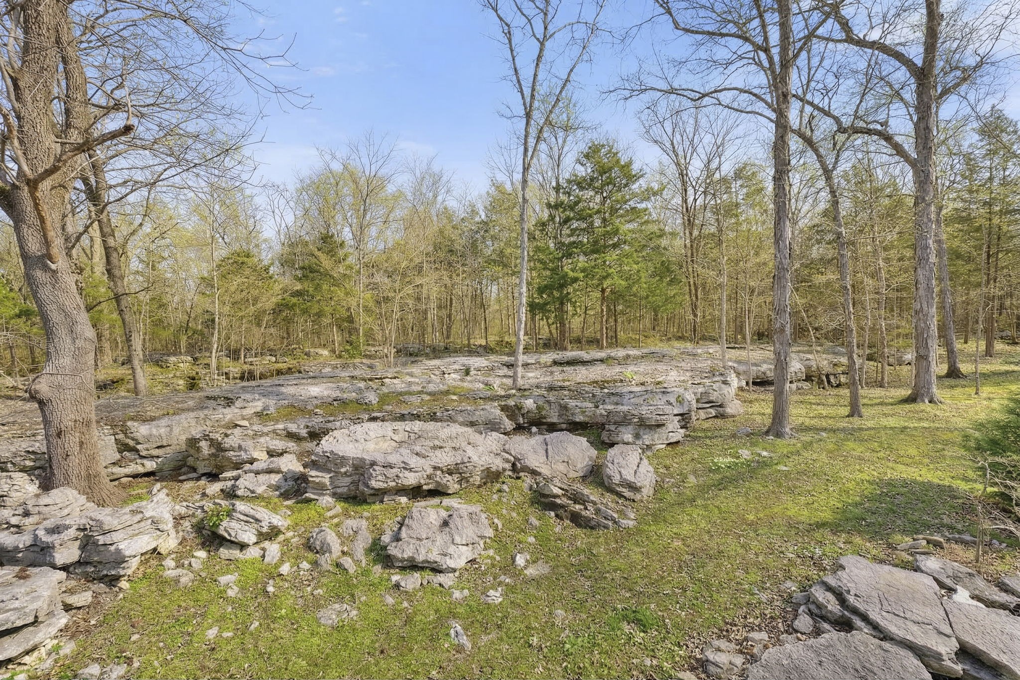 3888 Coleman Hill Road Rockvale, TN 37153 - Photo 80 of 86