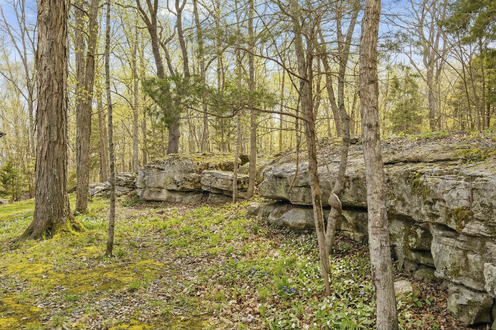 3888 Coleman Hill Road Rockvale, TN 37153 - Photo 81 of 86