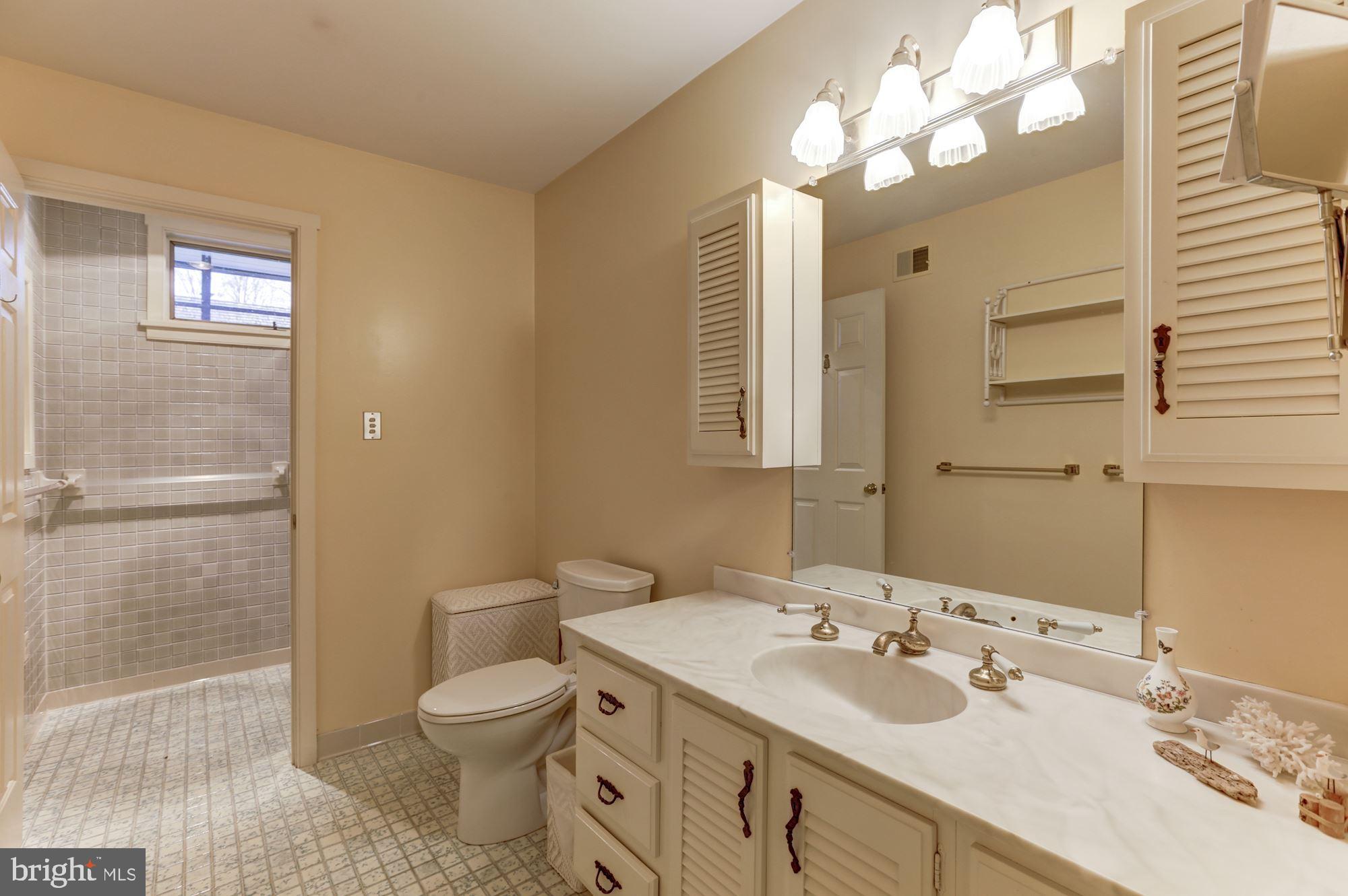10187 Cliff Mills Road Marshall, VA 20115 - Photo 18 of 46 Master bathroom w sep shower