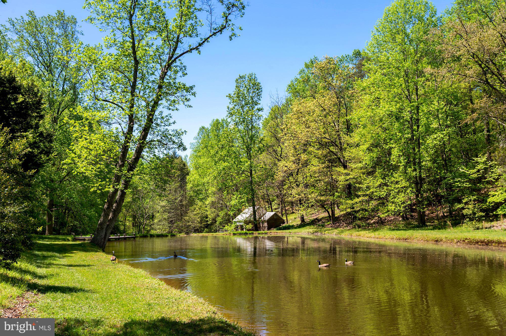 10187 Cliff Mills Road Marshall, VA 20115 - Photo 4 of 46 Pond look to studio
