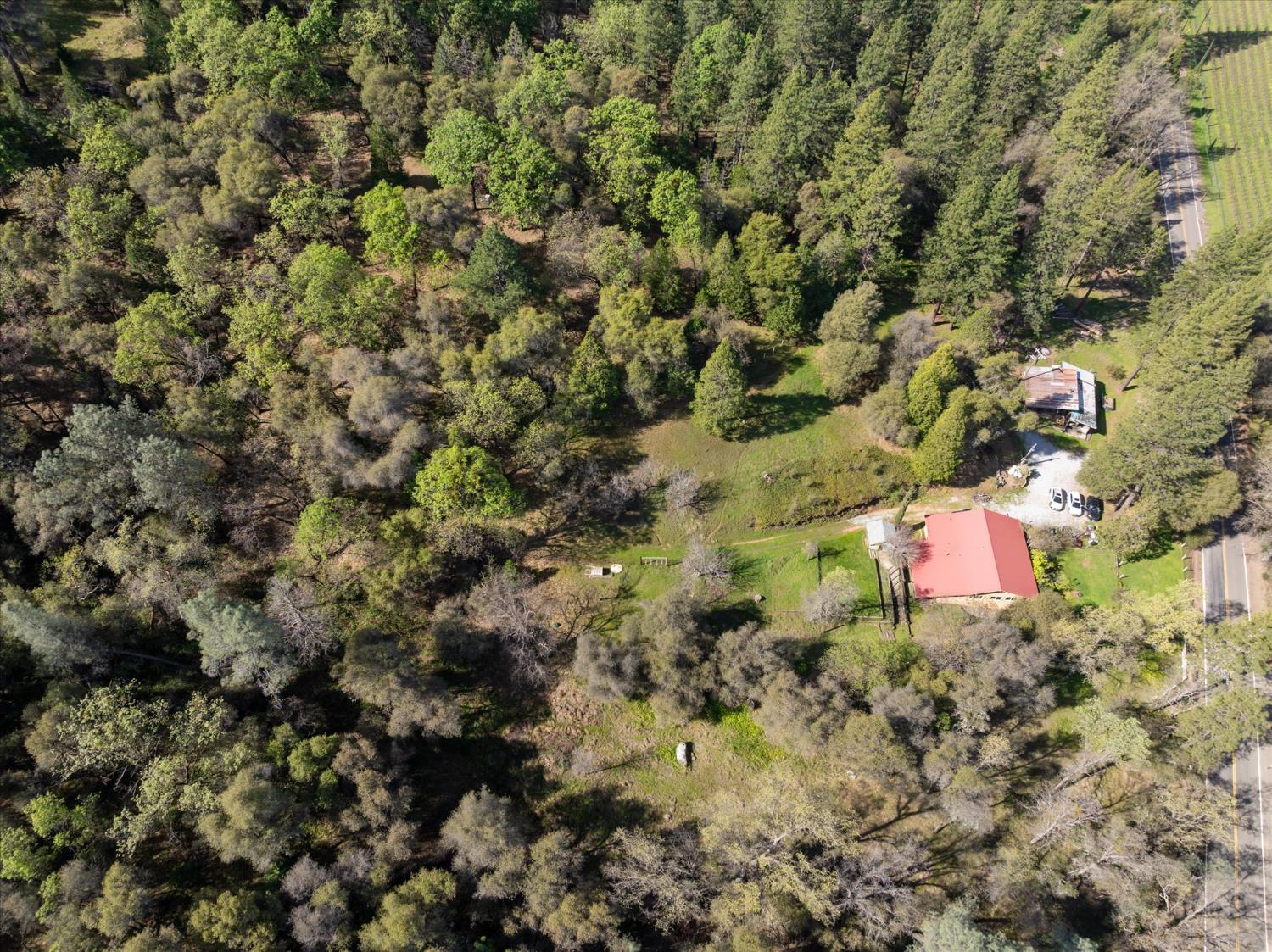 3640 Omo Ranch Road Somerset, CA 95684 - Photo 50 of 57 a backyard of a house with a yard and large trees