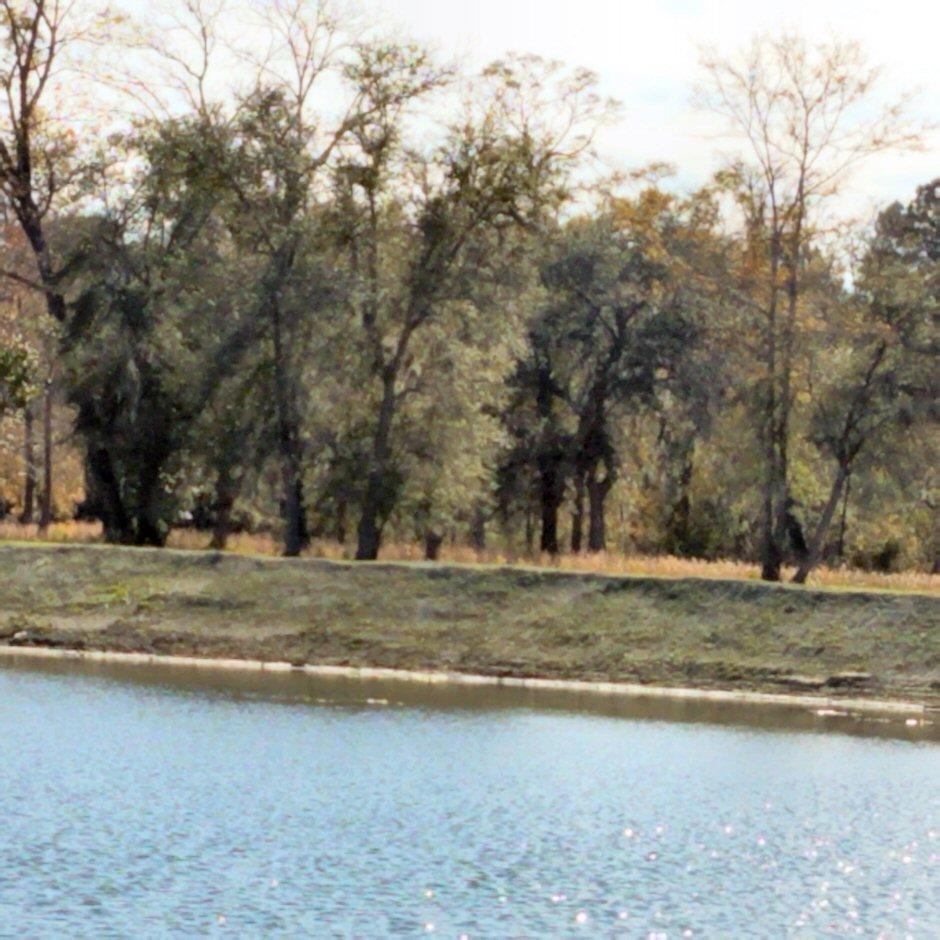 Lot 6 Chisolm Road Johns Island, SC 29455 - Photo 14 of 16 Lot 6 Chisolm Road
