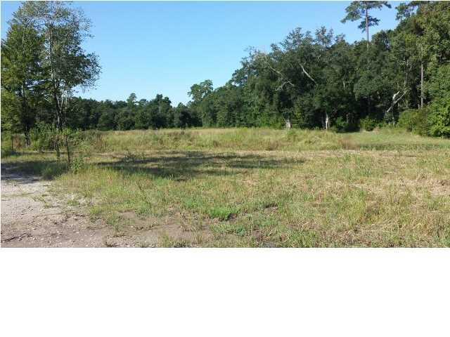 Lot 6 Chisolm Road Johns Island, SC 29455 - Photo 3 of 16 chisolm rd home site