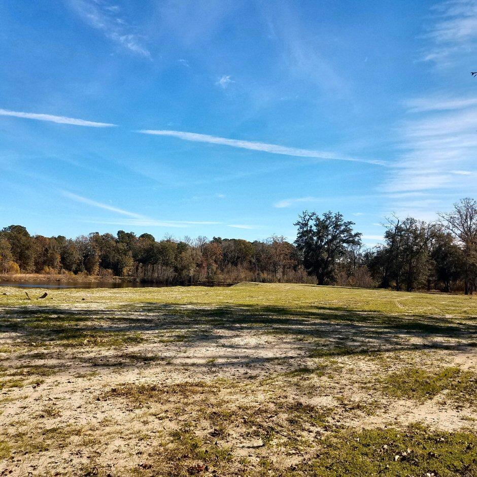 Lot 6 Chisolm Road Johns Island, SC 29455 - Photo 4 of 16 Lot 6 Chisolm Road