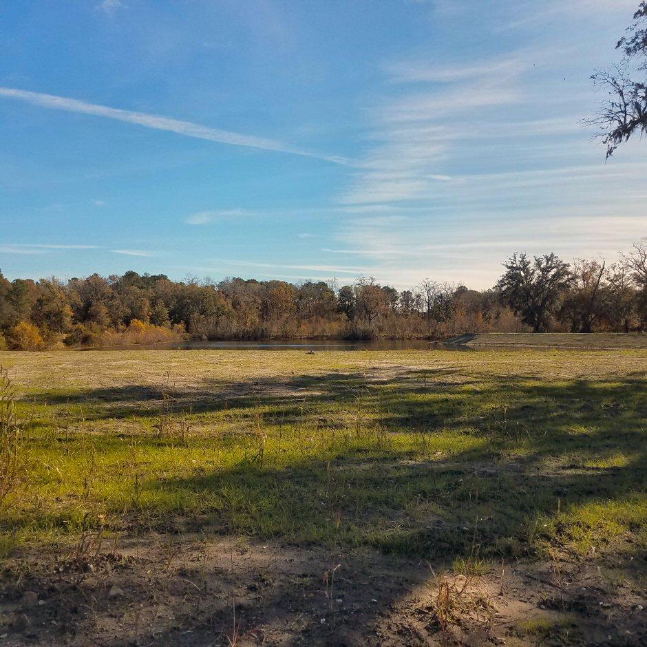 Lot 6 Chisolm Road Johns Island, SC 29455 - Photo 5 of 16 Lot 6 Chisolm Road