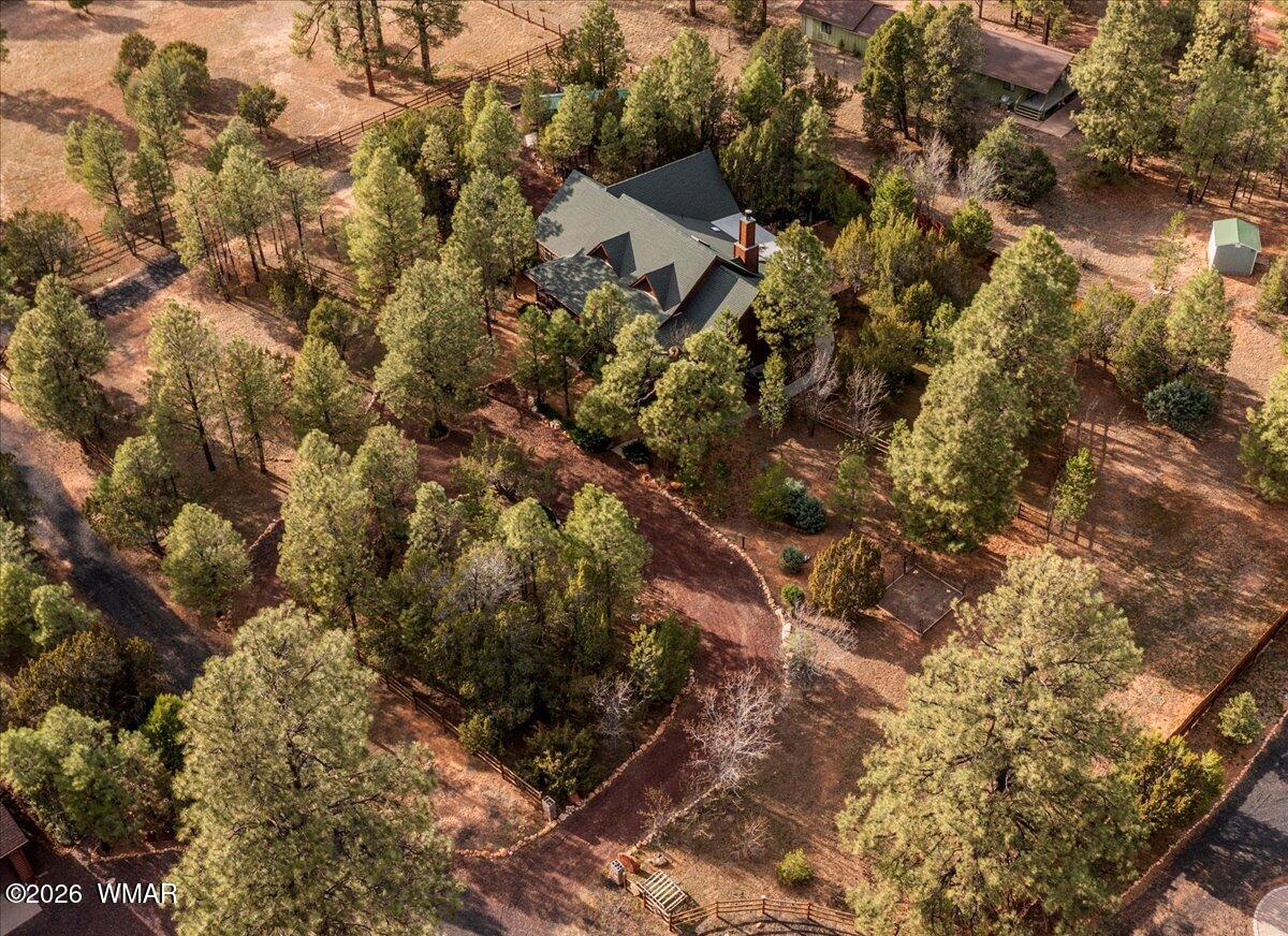 2952 Country View Lane Overgaard, AZ 85933 - Photo 67 of 77 68-DJI_0946