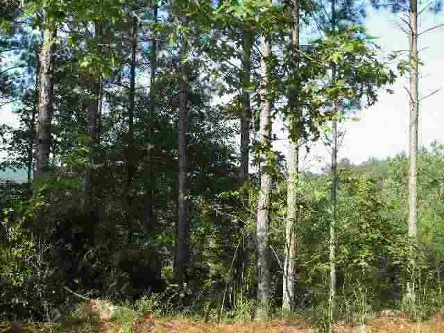 Lot A53 River Ridge Road, Unit 122 RIVER RIDGE RD Sunset, SC 29685 - Photo 3 of 8