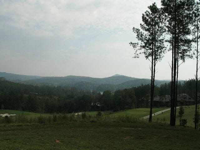 Lot A53 River Ridge Road, Unit 122 RIVER RIDGE RD Sunset, SC 29685 - Photo 8 of 8