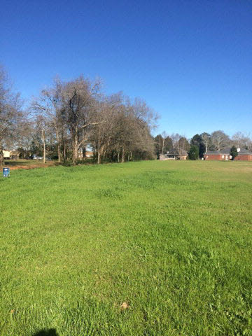 0 Hammond Street Robertsdale, AL 36567 - Photo 1 of 1