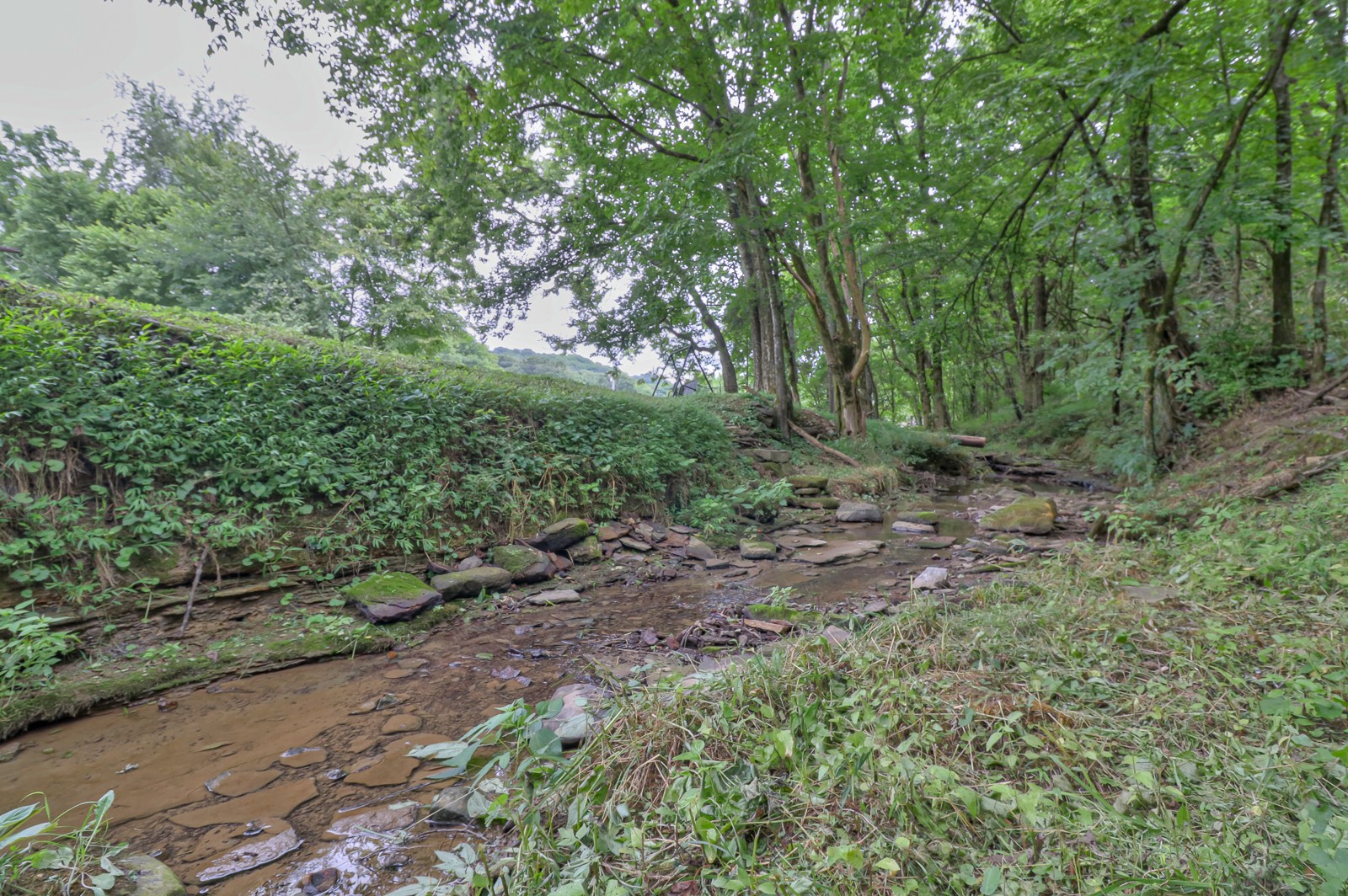 6730 Cross Keys Road College Grove, TN 37046 - Photo 42 of 70 Gallery Image 42