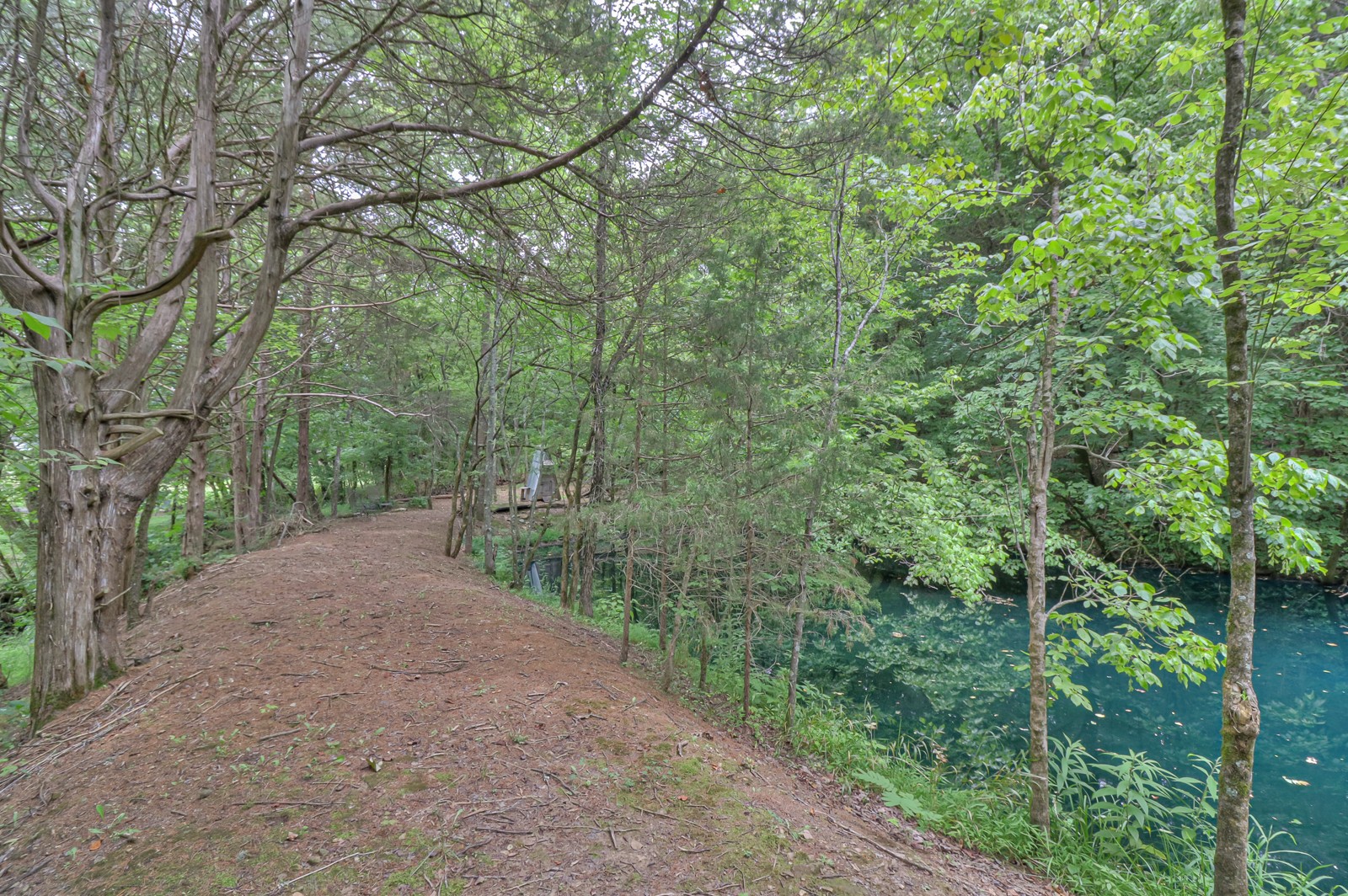 6730 Cross Keys Road College Grove, TN 37046 - Photo 6 of 70 Gallery Image 6