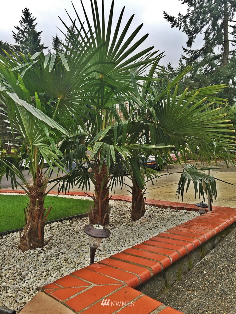 4426 Southeast 4th Street Renton, WA 98059 - Photo 4 of 25 Gallery Image 4