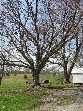 219 Bybee Loop Road Waco, KY 40385 - Photo 4 of 5 Photo 4