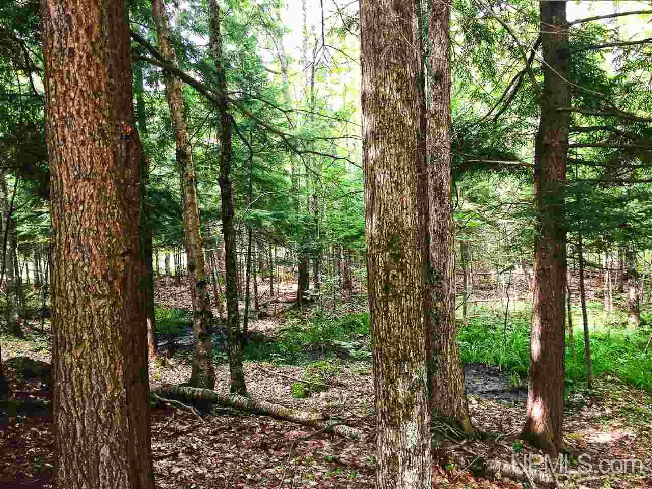 21846 Nelson Road Skanee, MI 49962 - Photo 16 of 19 Gallery Image 16
