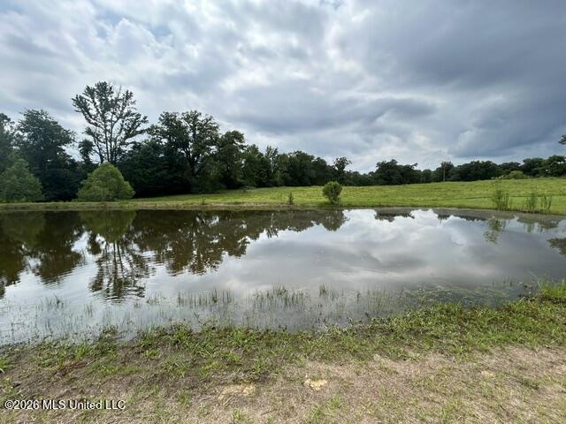 2096 Swilley Road Wesson, MS 39191 - Photo 73 of 86 IMG_4348