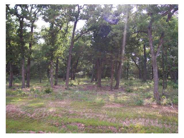139 Winchester Road Bastrop, TX 78602 - Photo 1 of 1 Gallery Image 1