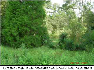 0 Ruth Drive Walker, LA 70785 - Photo 1 of 2 Gallery Image 1
