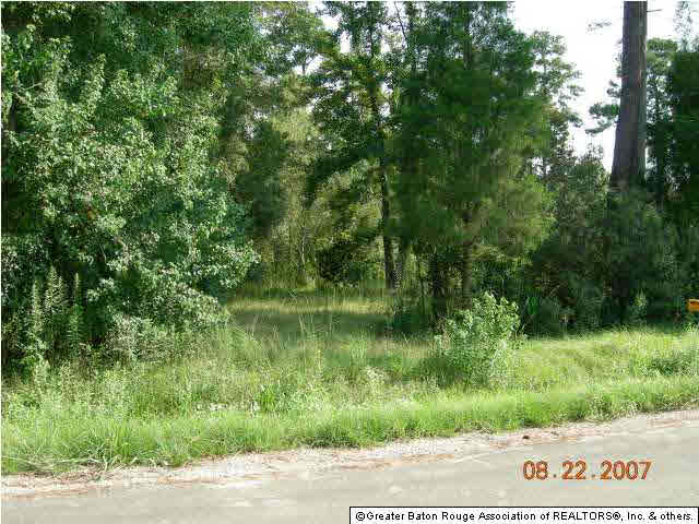 0 Ruth Drive Walker, LA 70785 - Photo 2 of 2 Gallery Image 2