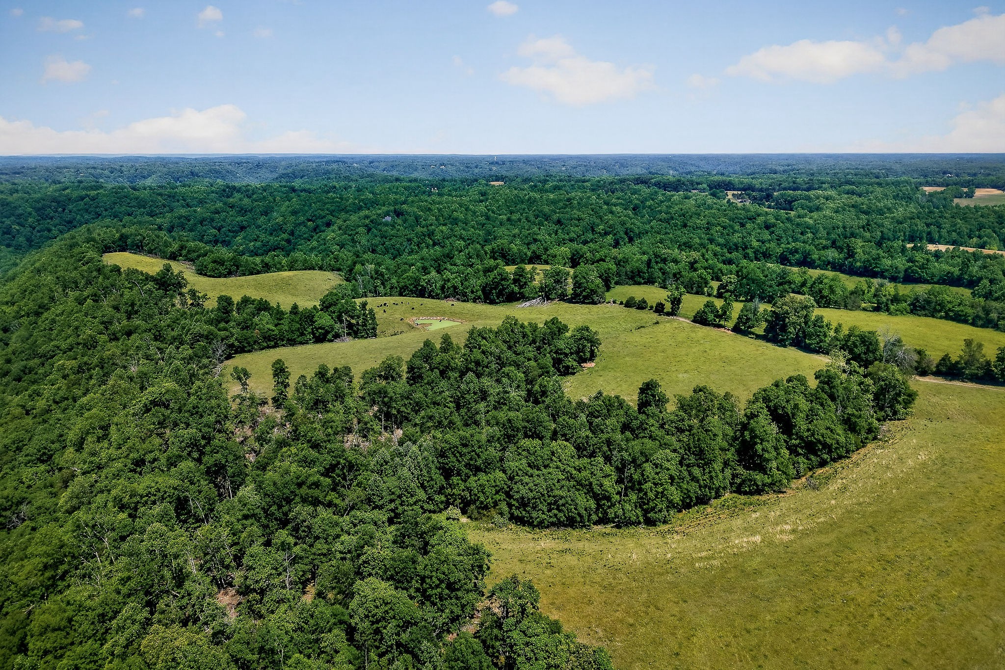 8495 Baxter Road Baxter, TN 38544 - Photo 11 of 62