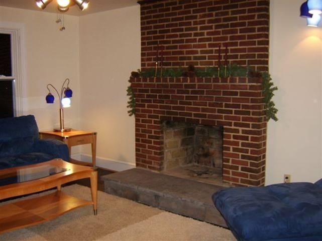 3962 Pitzer Road Roanoke, VA 24014 - Photo 4 of 10 Fireplace
