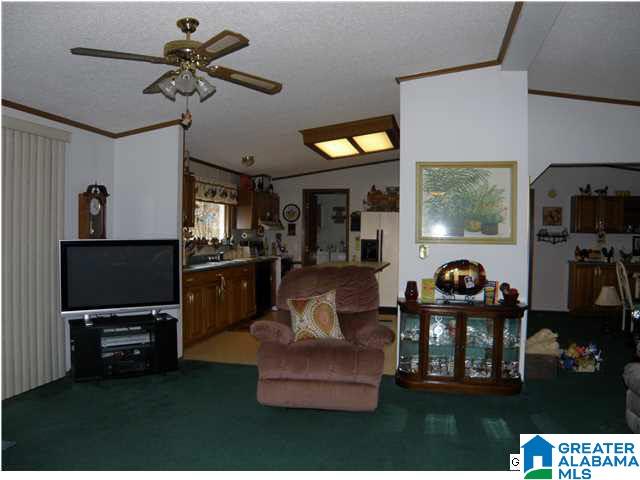 1499 Ray Wyatt Road Ashville, AL 35953 - Photo 9 of 29
