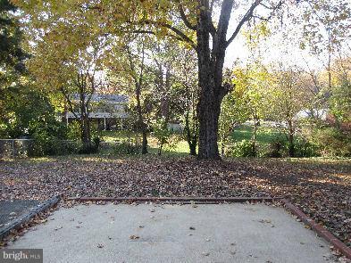 3908 Braddock Road Alexandria, VA 22312 - Photo 16 of 16 Backyard
