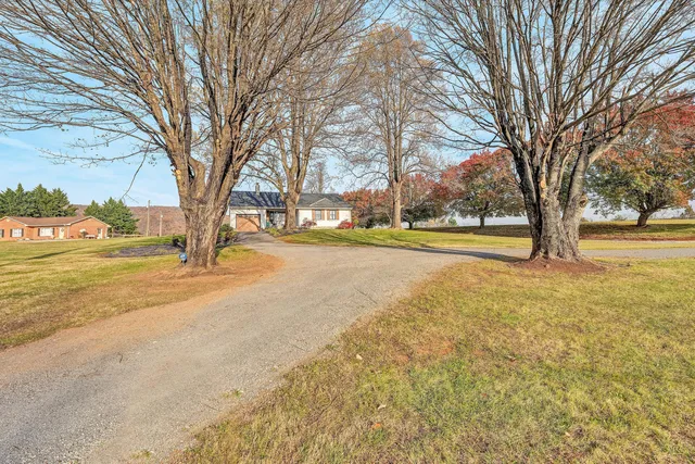 a view of road with large trees