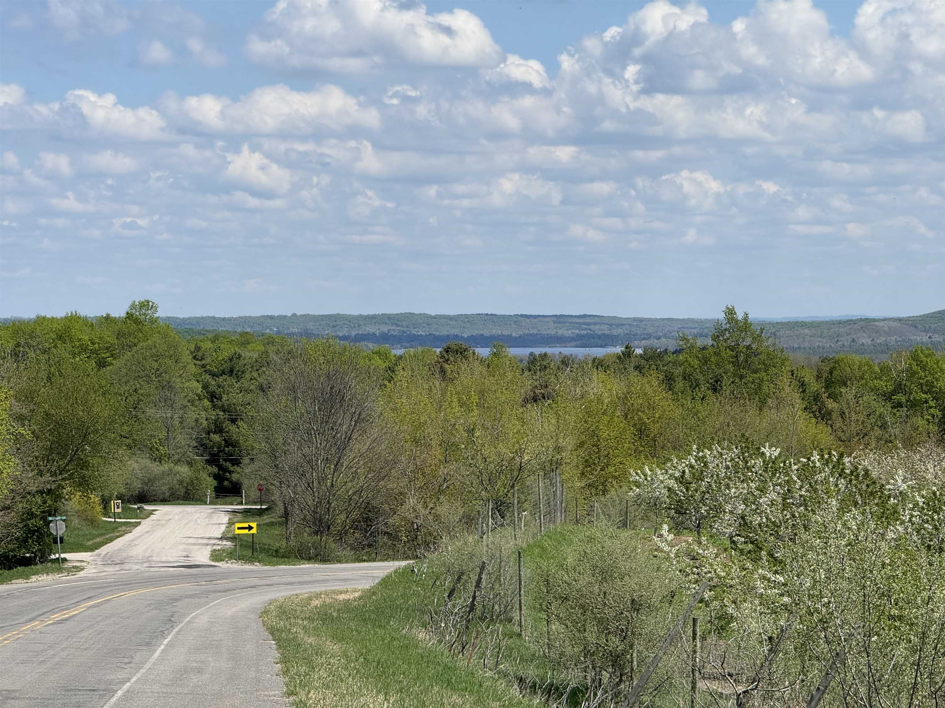 Lot #2 East Bellinger Road, Unit BELLINGER ESTATES Cedar, MI 49621 - Photo 17 of 19
