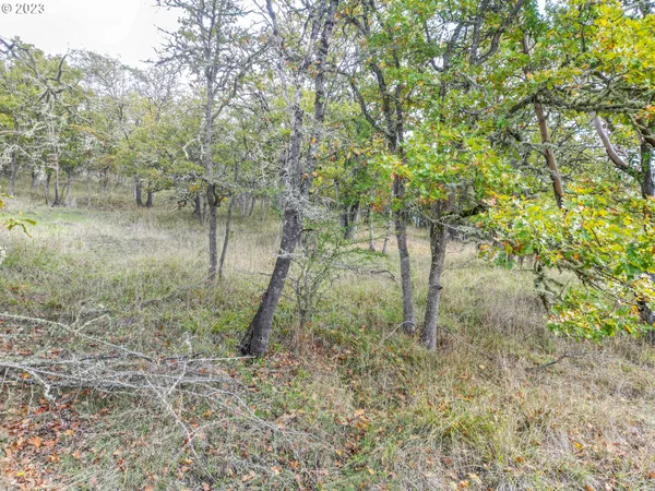 $29,500 | 0 Northeast Casper Street, Roseburg, OR 97470