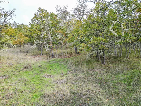 $29,500 | 0 Northeast Casper Street, Roseburg, OR 97470