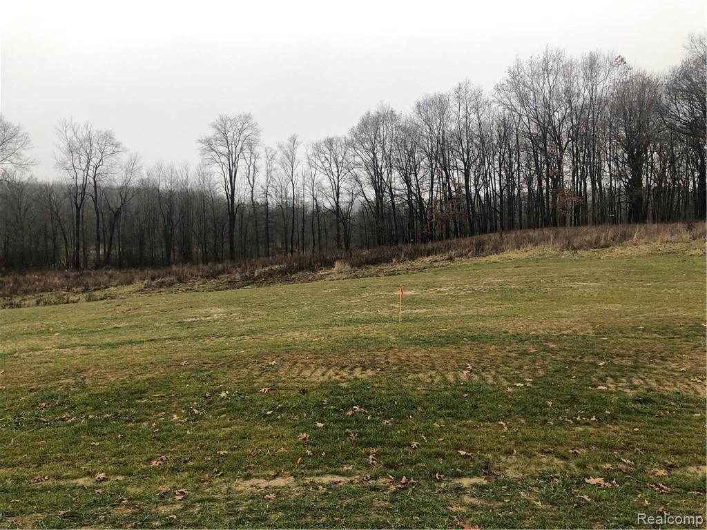 Parcel 9 Elevation Lane Howell, MI 48855 - Photo 4 of 10