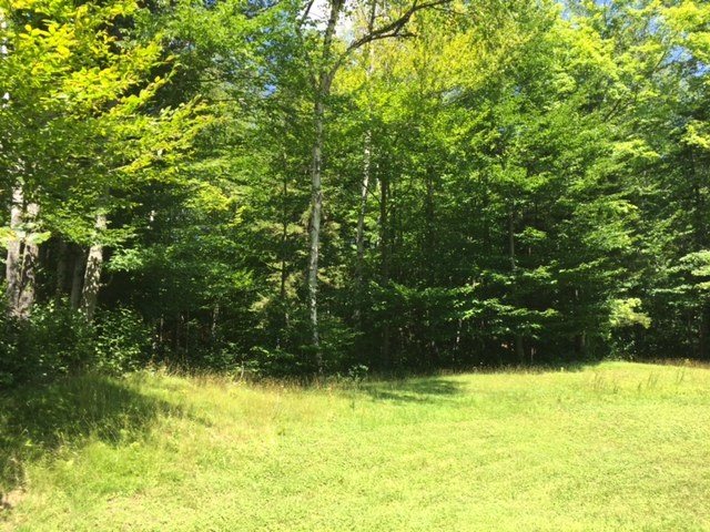 378 Gulf Road Barnard, VT 05091 - Photo 3 of 17